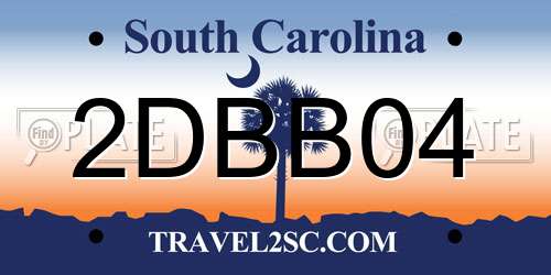 2DBB04 South Carolina License Plate