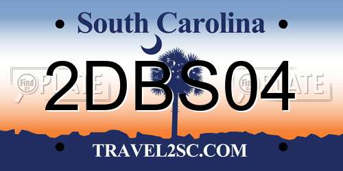 2DBS04 South Carolina License Plate
