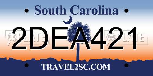 2DEA421 South Carolina License Plate
