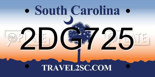 2DG725 South Carolina License Plate