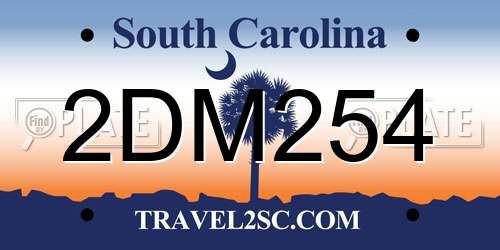 2DM254 South Carolina License Plate