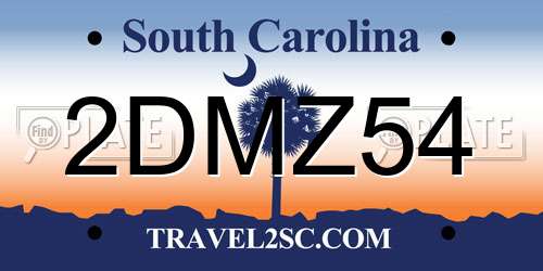 2DMZ54 South Carolina License Plate