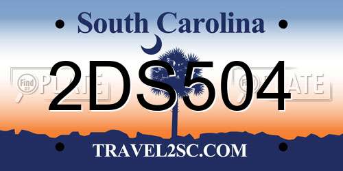 2DS504 South Carolina License Plate