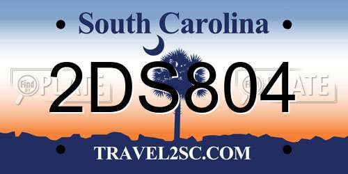 2DS804 South Carolina License Plate