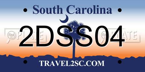 2DSS04 South Carolina License Plate
