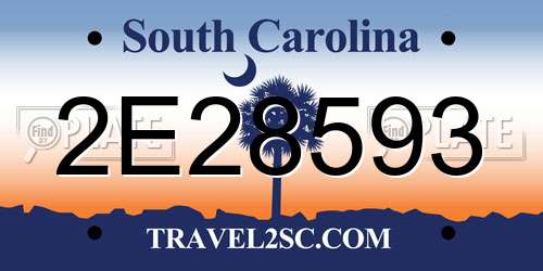 2E28593 South Carolina License Plate