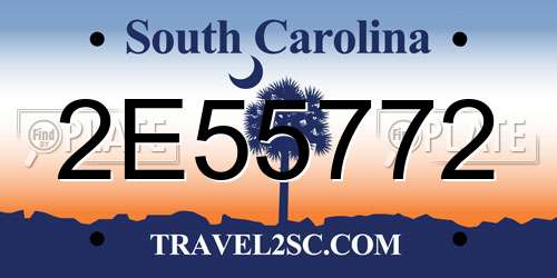 2E55772 South Carolina License Plate