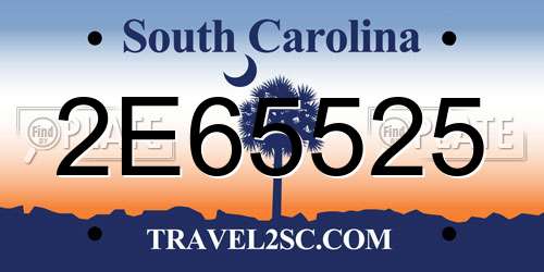 2E65525 South Carolina License Plate