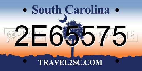 2E65575 South Carolina License Plate