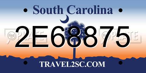 2E68875 South Carolina License Plate
