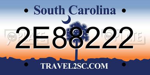 2E88222 South Carolina License Plate