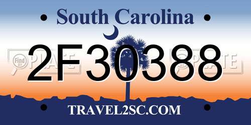 2F30388 South Carolina License Plate