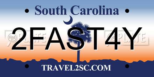 2FAST4Y South Carolina License Plate