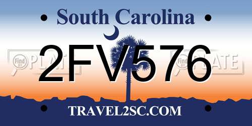 2FV576 South Carolina License Plate
