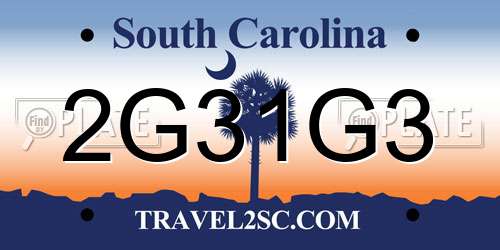 2G31G3 South Carolina License Plate