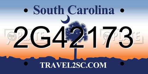 2G42173 South Carolina License Plate