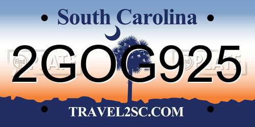2GOG925 South Carolina License Plate