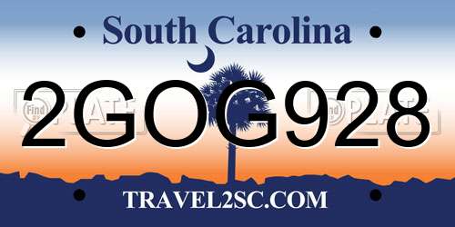 2GOG928 South Carolina License Plate