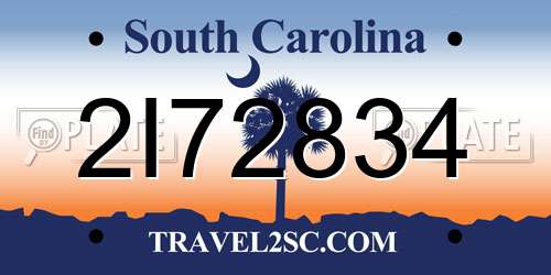2I72834 South Carolina License Plate