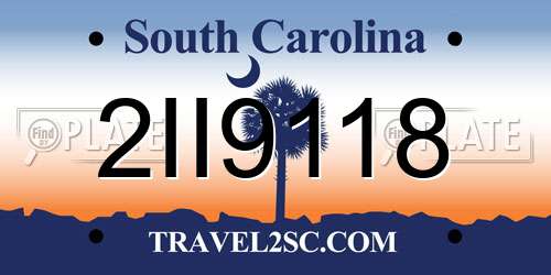 2II9118 South Carolina License Plate