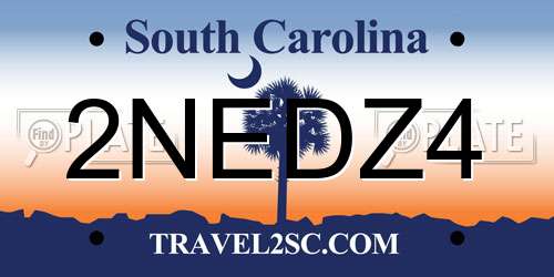 2NEDZ4 South Carolina License Plate