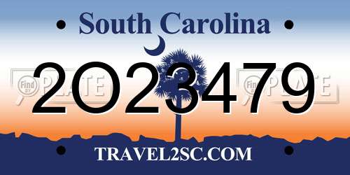 2O23479 South Carolina License Plate