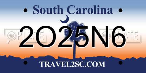 2O25N6 South Carolina License Plate