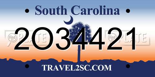 2O34421 South Carolina License Plate