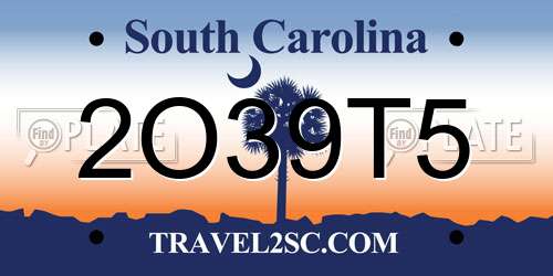 2O39T5 South Carolina License Plate