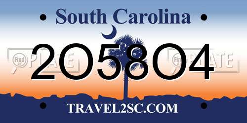 2O58O4 South Carolina License Plate