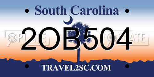 2OB504 South Carolina License Plate