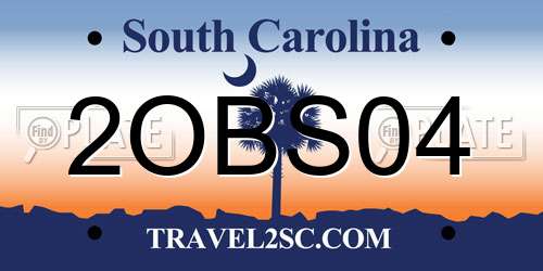 2OBS04 South Carolina License Plate