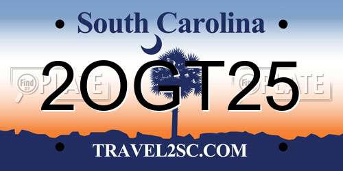 2OGT25 South Carolina License Plate