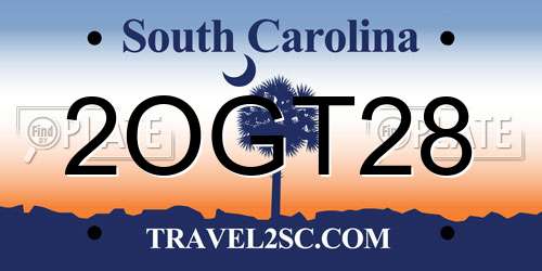 2OGT28 South Carolina License Plate