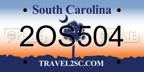 2OS504 South Carolina License Plate
