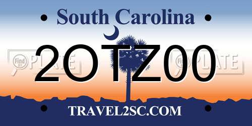 2OTZ00 South Carolina License Plate