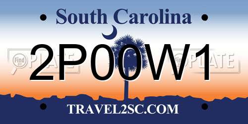 2P00W1 South Carolina License Plate