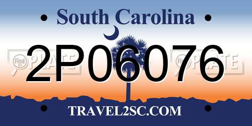 2P06076 South Carolina License Plate