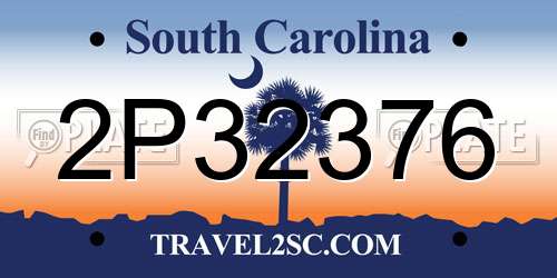 2P32376 South Carolina License Plate