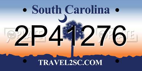 2P41276 South Carolina License Plate
