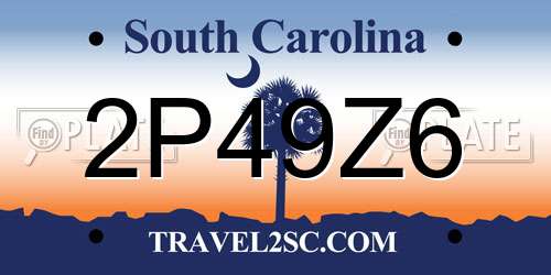 2P49Z6 South Carolina License Plate