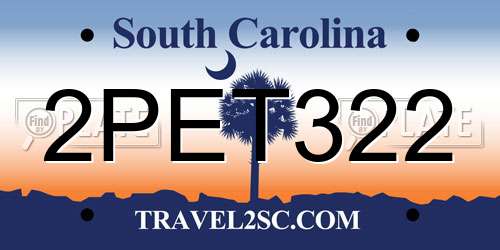 2PET322 South Carolina License Plate