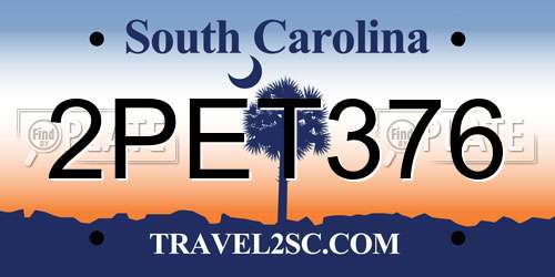 2PET376 South Carolina License Plate