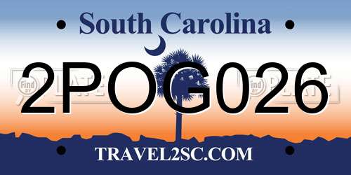 2POG026 South Carolina License Plate