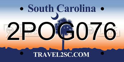 2POG076 South Carolina License Plate