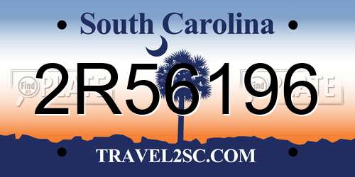 2R56196 South Carolina License Plate