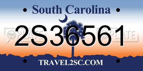 2S36561 South Carolina License Plate
