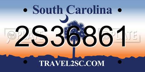 2S36861 South Carolina License Plate