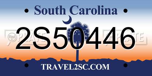 2S50446 South Carolina License Plate