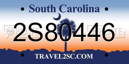 2S80446 South Carolina License Plate